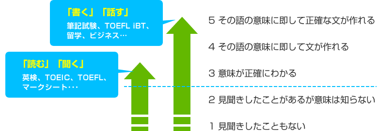 コロコロイングリッシュでどうなるの？